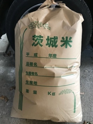 平成29年 新米 茨城県産 コシヒカリ