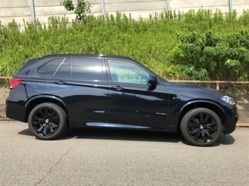［値下げ］BMW X5 スタースポークスタイリング491