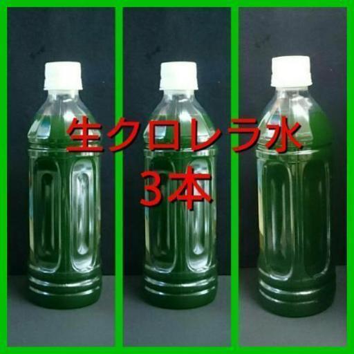 濃 生クロレラ水500ml 3本セット 期間限定 ミジンコ 赤磐のその他の中古あげます 譲ります ジモティーで不用品の処分