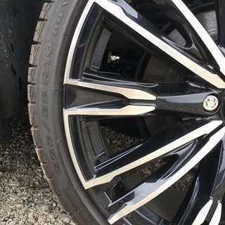 レイズ、ストレージア、ルチアーナ