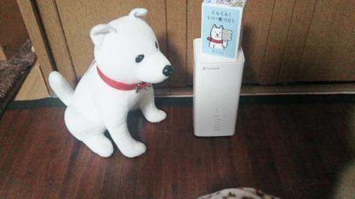 我が家のお喋りおとーさんいぬ