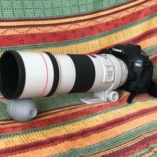 CANON EF 300mm F4L IS レンズ（キヤノン）