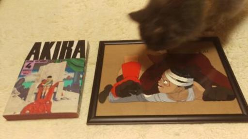 ＡＫＩＲＡ セル画