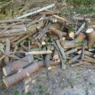 焚き木、薪用の雑木