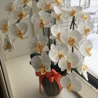 胡蝶蘭 造花
