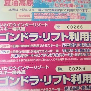 いわてウィンターリゾートスキー場共通ゴンドラ・リフト利用券 1