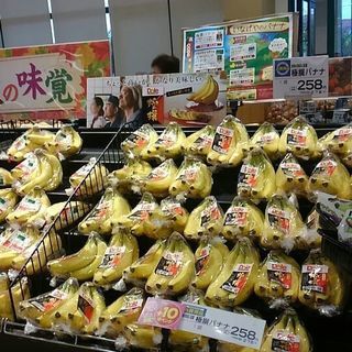 ☆試食販売スタッフ大募集！☆