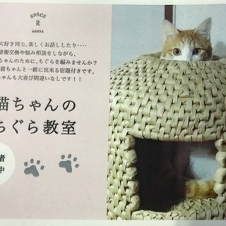 ねこちぐら作りの画像