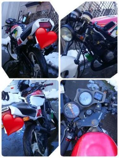 ヤマハ tzr50r