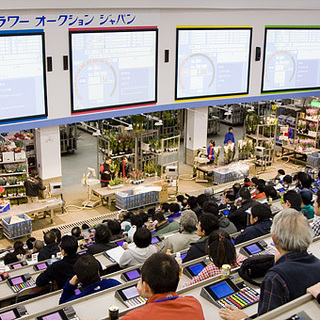 【アルバイト急募！】東京都中央卸売市場内（花き部）での仕分け・積込みスタッフ（鉢物） - 物流