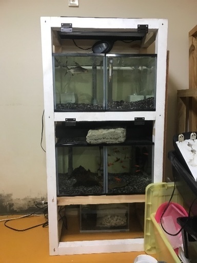 40水槽 OF マンション