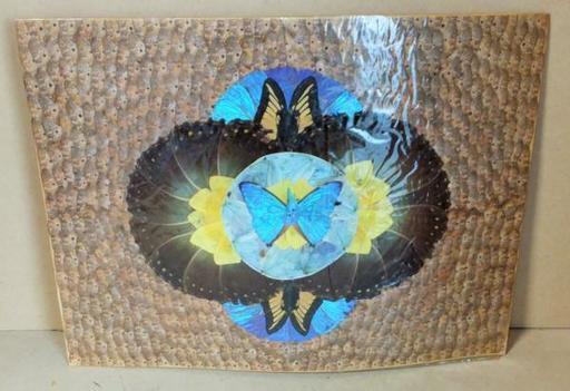 •\t珍しいブラジルの蝶々 羽の貼り絵はまさにアート 現地で購入◆引き込まれる不思議な魅力