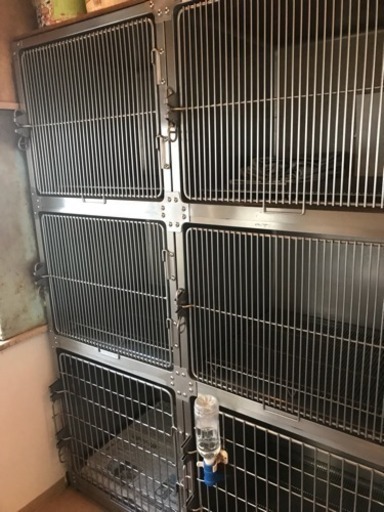 多頭飼い用犬ゲージ