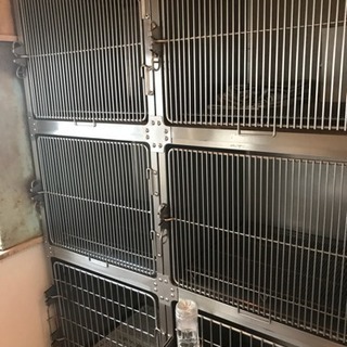 多頭飼い用犬ゲージ