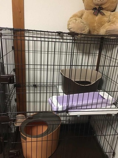 猫用ゲージ セット