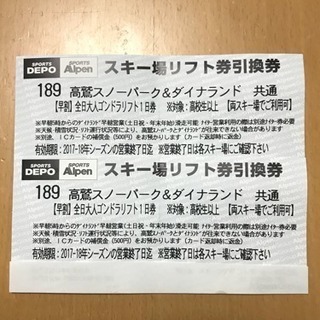 高鷲スノーパーク＆ダイナランド共通リフト券 2枚