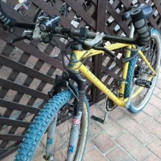 ゲイリー☆フィッシャー