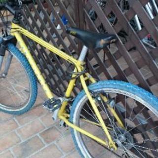 ゲイリー★フィッシャー