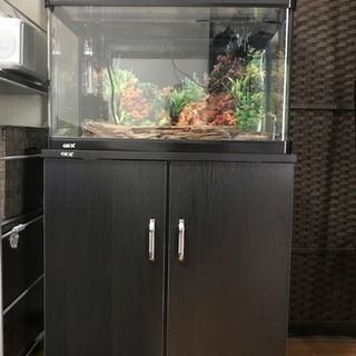 水槽 熱帯魚観賞用 棚セット Chika 広島のその他の中古あげます 譲ります ジモティーで不用品の処分