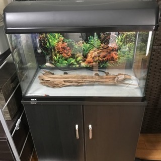 水槽 熱帯魚観賞用 棚セット