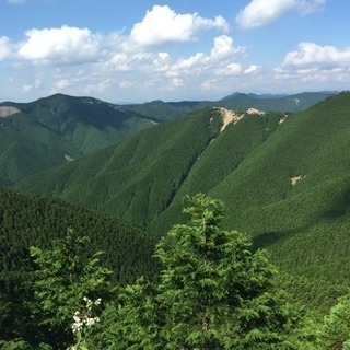 山歩きサークルメンバー募集 5月27日護摩壇山・龍神岳、山歩きします。