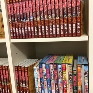 フェアリーテイル  全巻(完結) ＋ 特装版DVD付