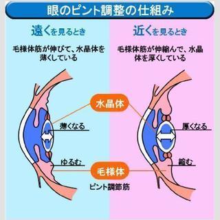 現代社会の目のトラブル改善します！！