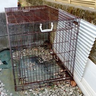 大型犬用　中古ケージ