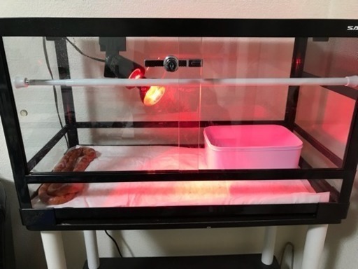 爬虫類ケージ 全てセットです