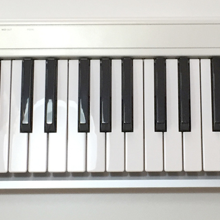 KORGコルグ K49 MIDIキーボード 49鍵盤 180v16