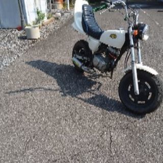 クラシカルレインボーハッピーバード HONDAエイプ50・100 三段シート40