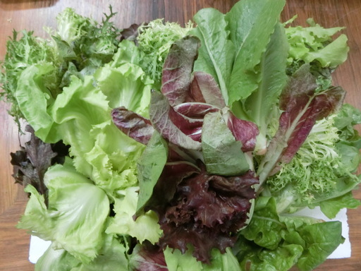 今 日本で一番おいしい葉物洋野菜を入荷しました かいと 大通のその他の無料広告 無料掲載の掲示板 ジモティー 今 日本で一番おいしい葉物洋野菜を入荷しました かいと 大通のその他の無料広告 無料掲載の掲示板 ジモティー
