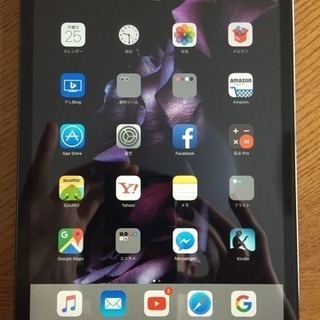 iPad mini (Wi-Fi 32GB ブラック&ストレート)