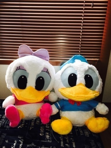 ドナルドダック デイジーダック ぬいぐるみ 大 とと 断捨離中 横浜のおもちゃ ぬいぐるみ の中古あげます 譲ります ジモティーで不用品の処分 ドナルドダック デイジーダック ぬいぐるみ 大 とと 断捨離中 横浜のおもちゃ ぬいぐるみ の中古あげます 譲ります ジモティーで不用品の処分