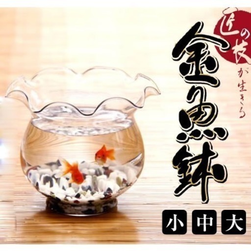 使用少 かわいい金魚鉢ほか金魚飼育セット とんとろ 新大阪のその他の中古あげます 譲ります ジモティーで不用品の処分