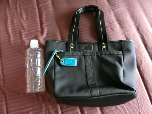 COACH★コーチ★ハンドバッグ★ブラック★黒
