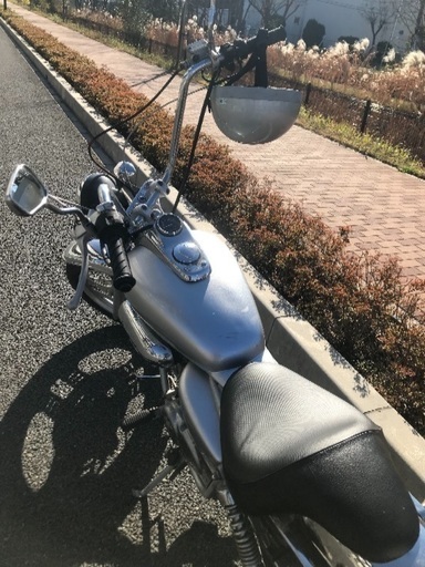 マグナ50