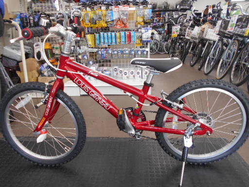 ルイガノ　２０インチ　子供自転車　２０１７年モデル型落ちセール（男の子向け）