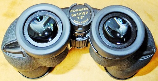 ビクセン Vixen フォレスタシリーズ ZR8×42WP 双眼鏡◇ケース付き www