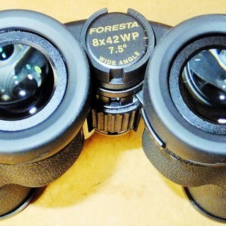 ビクセン Vixen フォレスタシリーズ ZR8×42WP 双眼鏡◆ケース付き