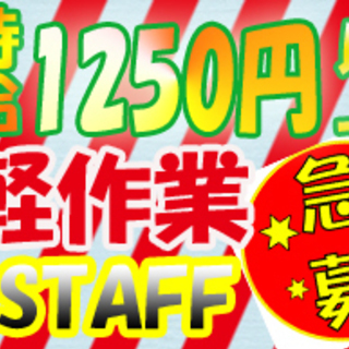 *★*【高時給1250円】入社祝い金最大30万円支給*★* *★...