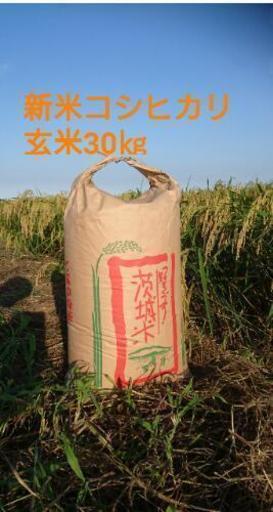 茨城29年産コシヒカリ玄米30㎏
