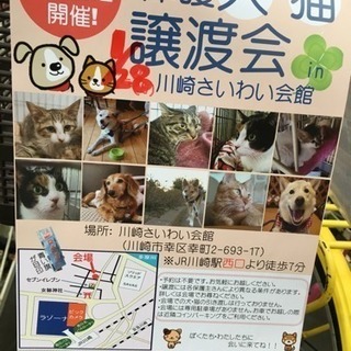 保護犬猫譲渡会！in 川崎