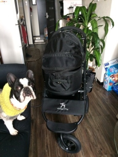 Air Buggy for Dog 正規品