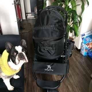 Air Buggy for Dog 正規品
