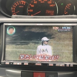イクリプス AVN550HD 地デジナビ