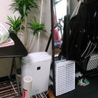 至急！引っ越しします！私が必要な物以外は、全部綺麗に買い取って下さい。