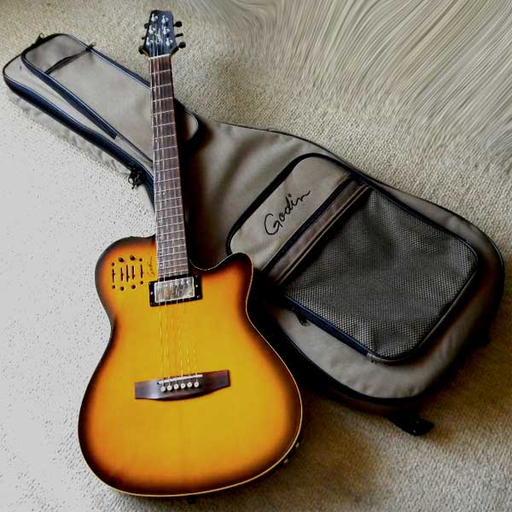 美品 GODIN (ゴダン) A6 ultra ピエゾとマグネトのハイブリッギター