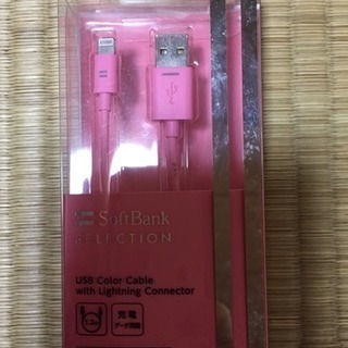 iPhone USB