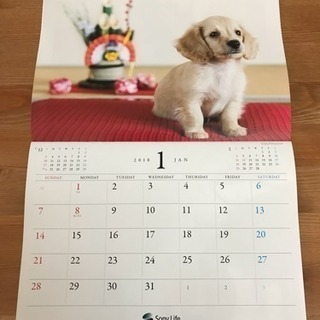 2018年 壁掛けカレンダー 仔犬 新品未使用
